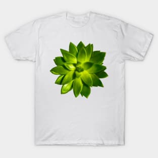 Mini Green Succulent T-Shirt